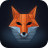 48px